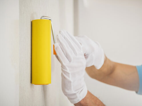 repaint or renovate walls